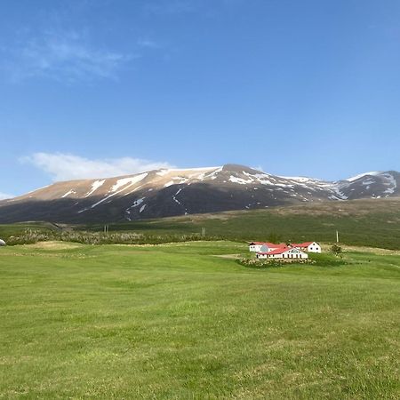 Litla-Sandfell Guesthouse Stora-Sandfell Eksteriør billede